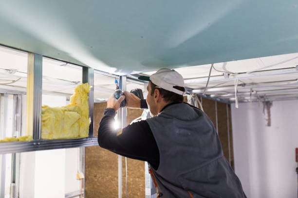 Best Spray Foam Insulation in Timnath, CO