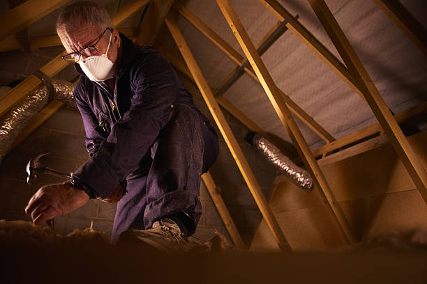 Best DIY Insulation Kits and Guidance in Timnath, CO
