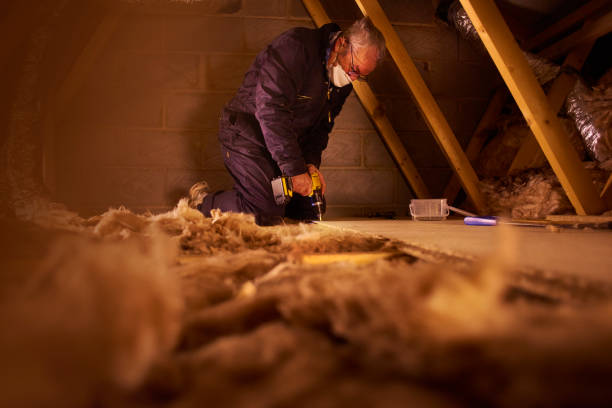 Best Specialized Insulation Services in Timnath, CO